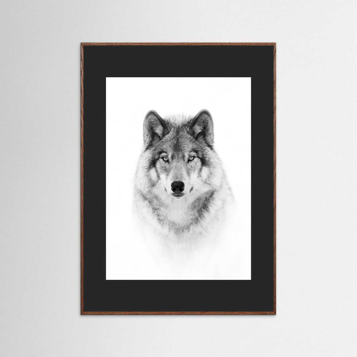 Timber Wolf Portrait Black & White Photographic Framed Fine Art Print