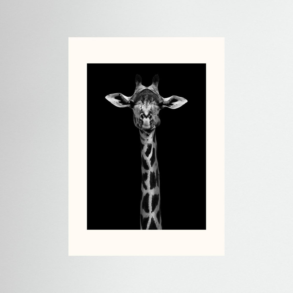 Giraffe Portrait Black & White Photographic Framed Fine Art Print