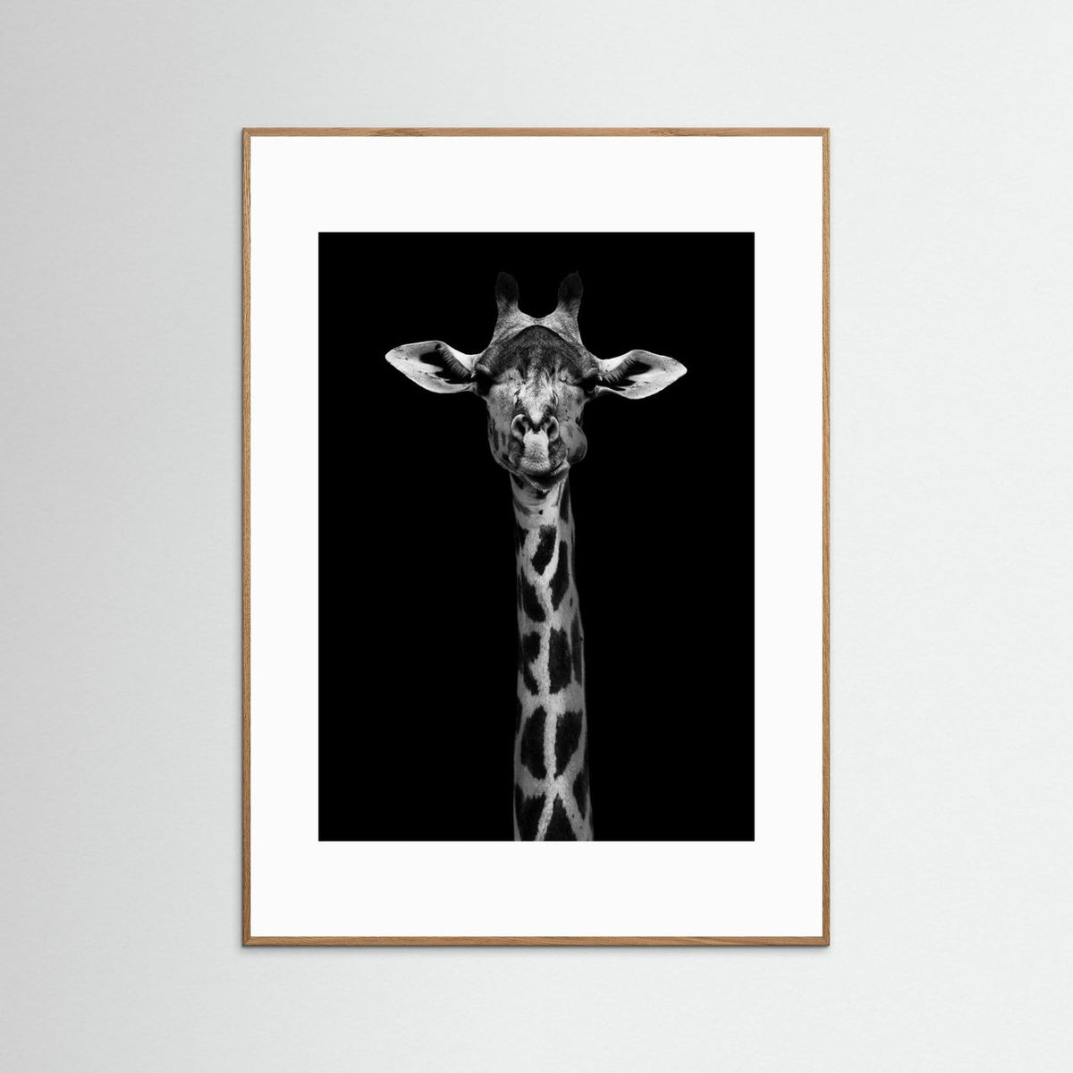 Giraffe Portrait Black & White Photographic Framed Fine Art Print