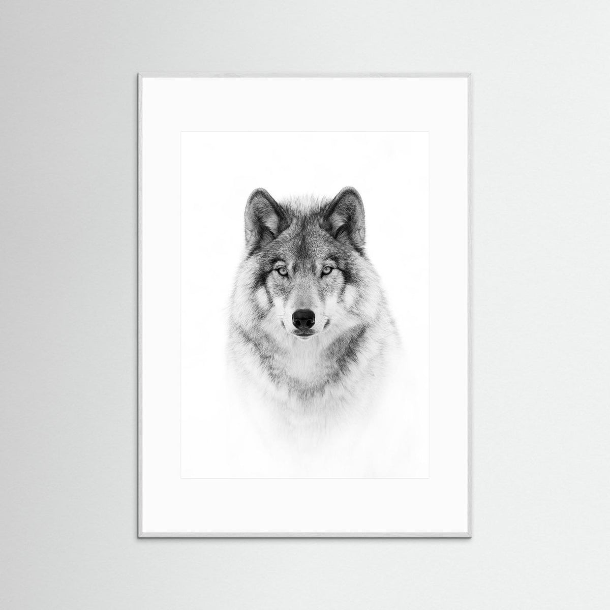 Timber Wolf Portrait Black & White Photographic Framed Fine Art Print