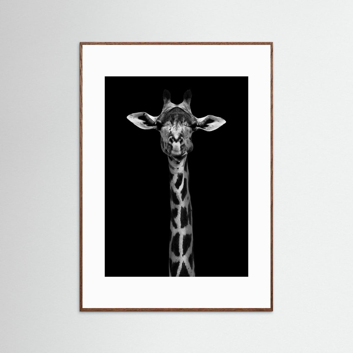 Giraffe Portrait Black & White Photographic Framed Fine Art Print