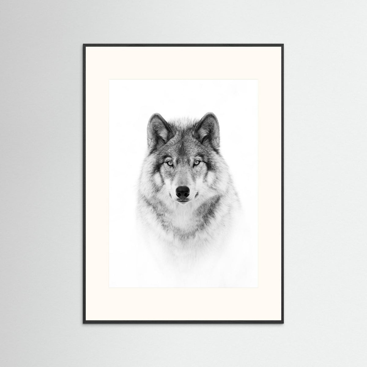 Timber Wolf Portrait Black & White Photographic Framed Fine Art Print
