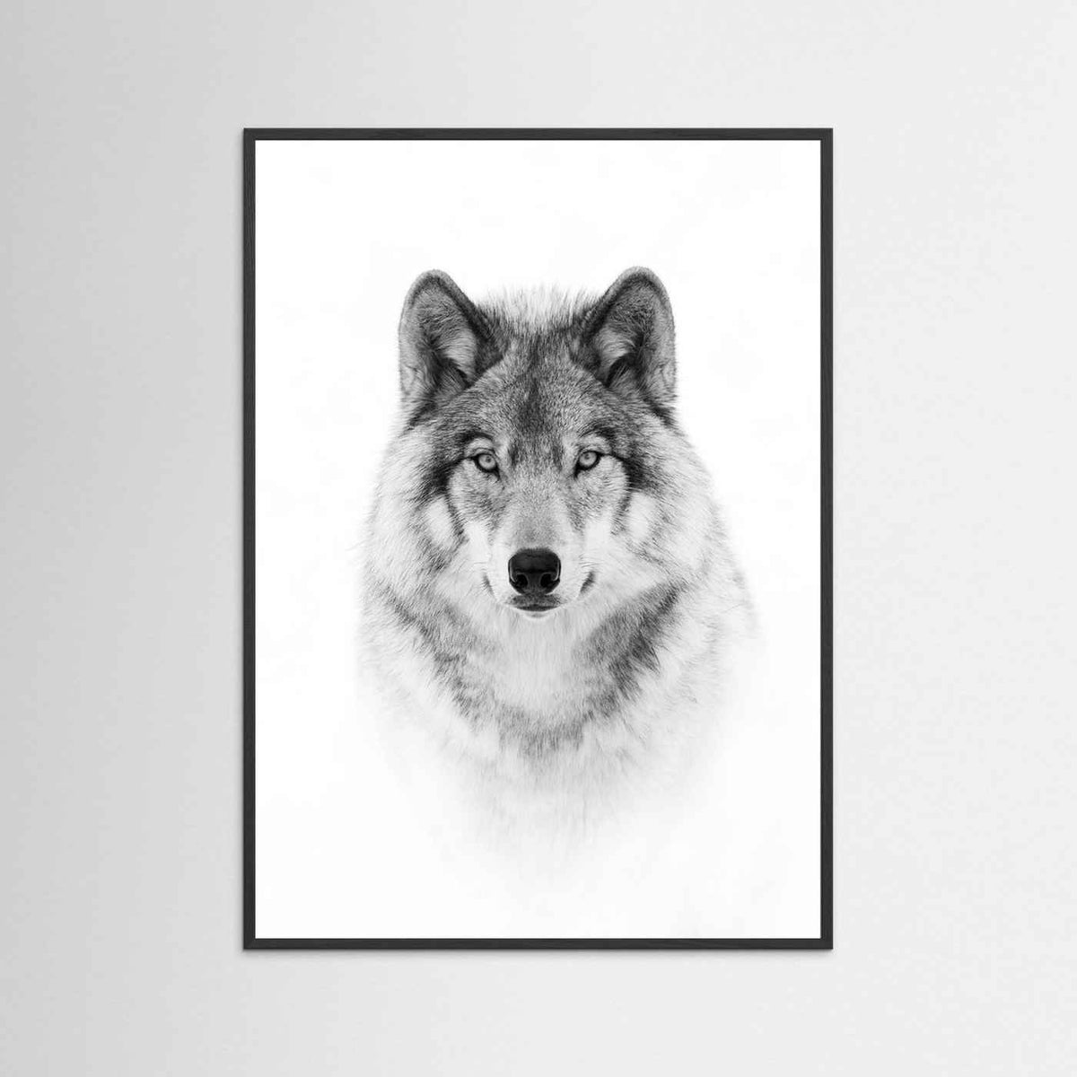 Timber Wolf Portrait Black & White Photographic Framed Fine Art Print