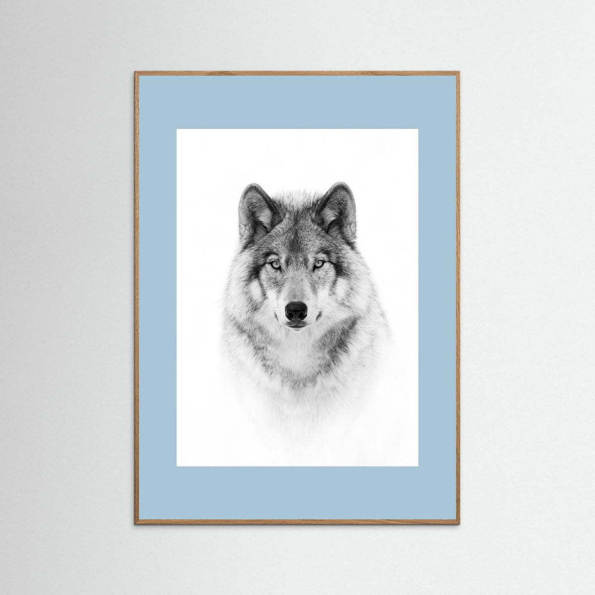 Timber Wolf Portrait Black & White Photographic Framed Fine Art Print