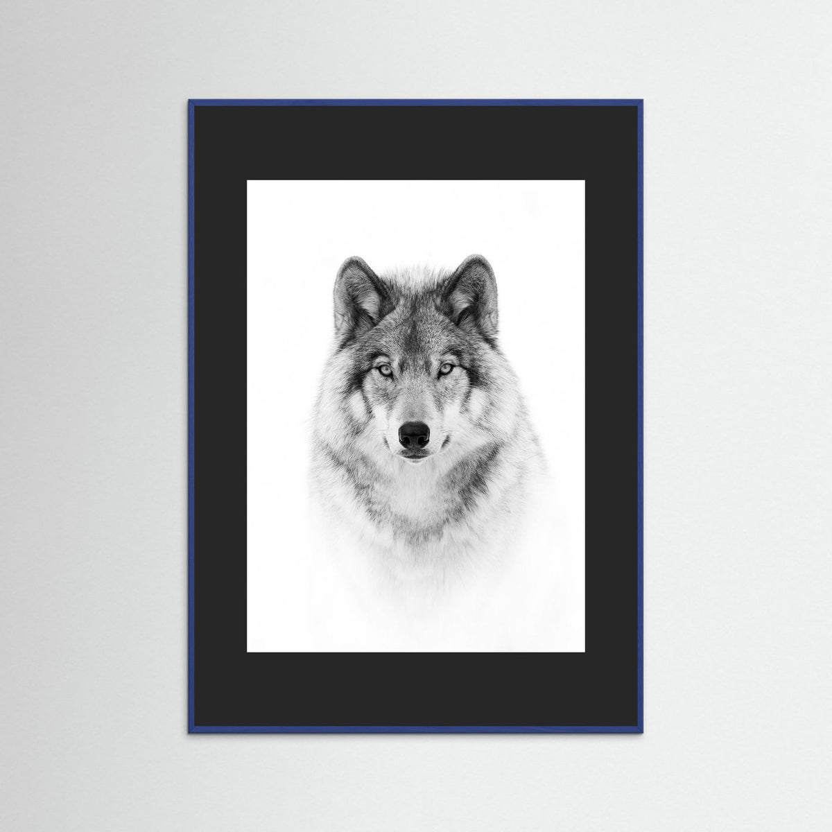 Timber Wolf Portrait Black & White Photographic Framed Fine Art Print