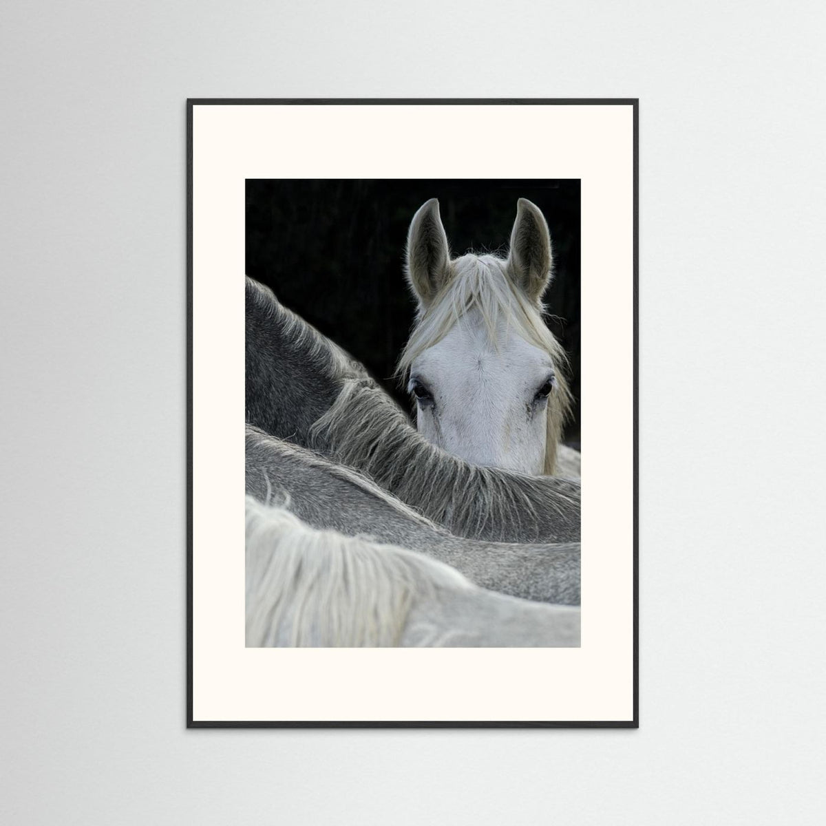 Look White Horse Portrait Photographic Framed Fine Art Print