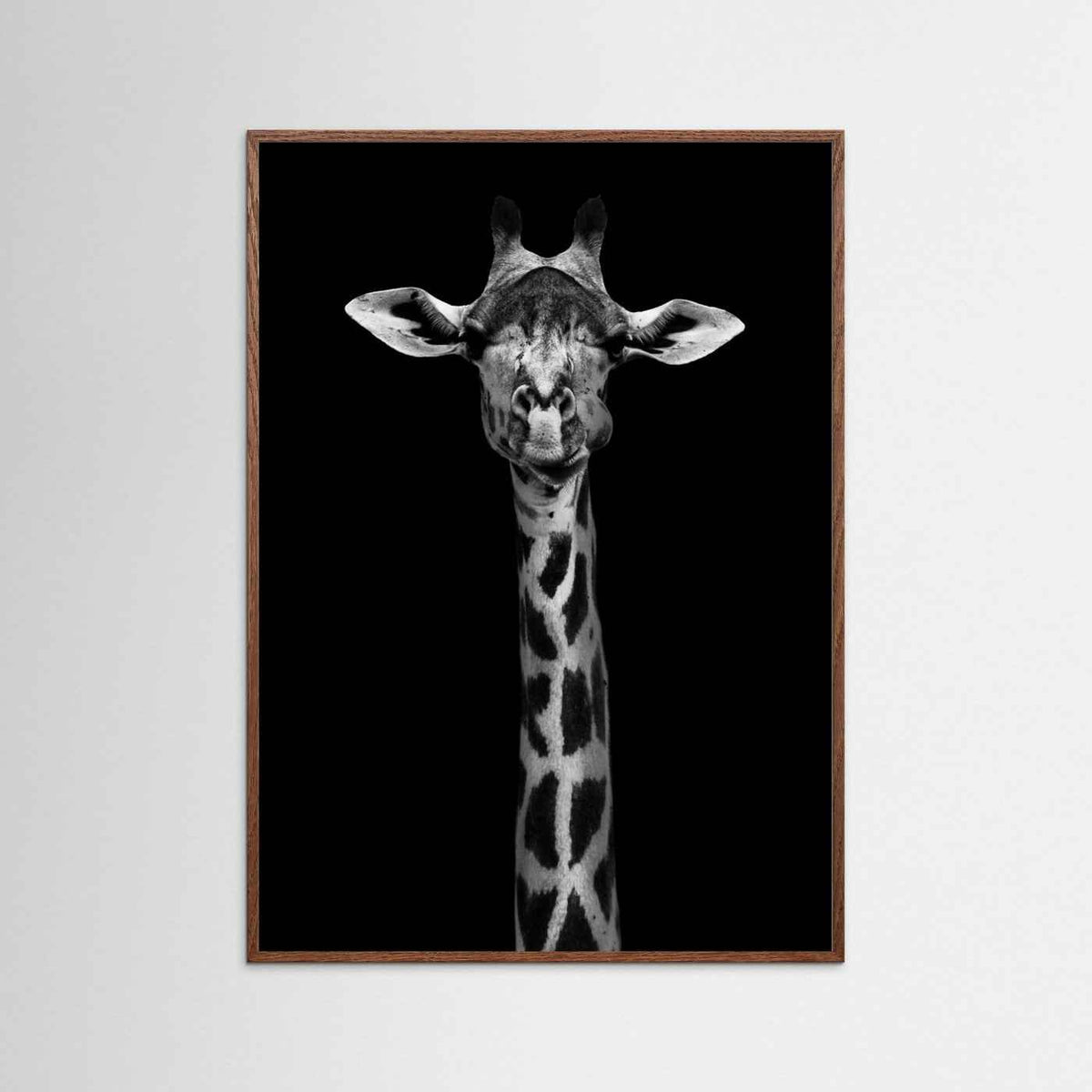 Giraffe Portrait Black & White Photographic Framed Fine Art Print