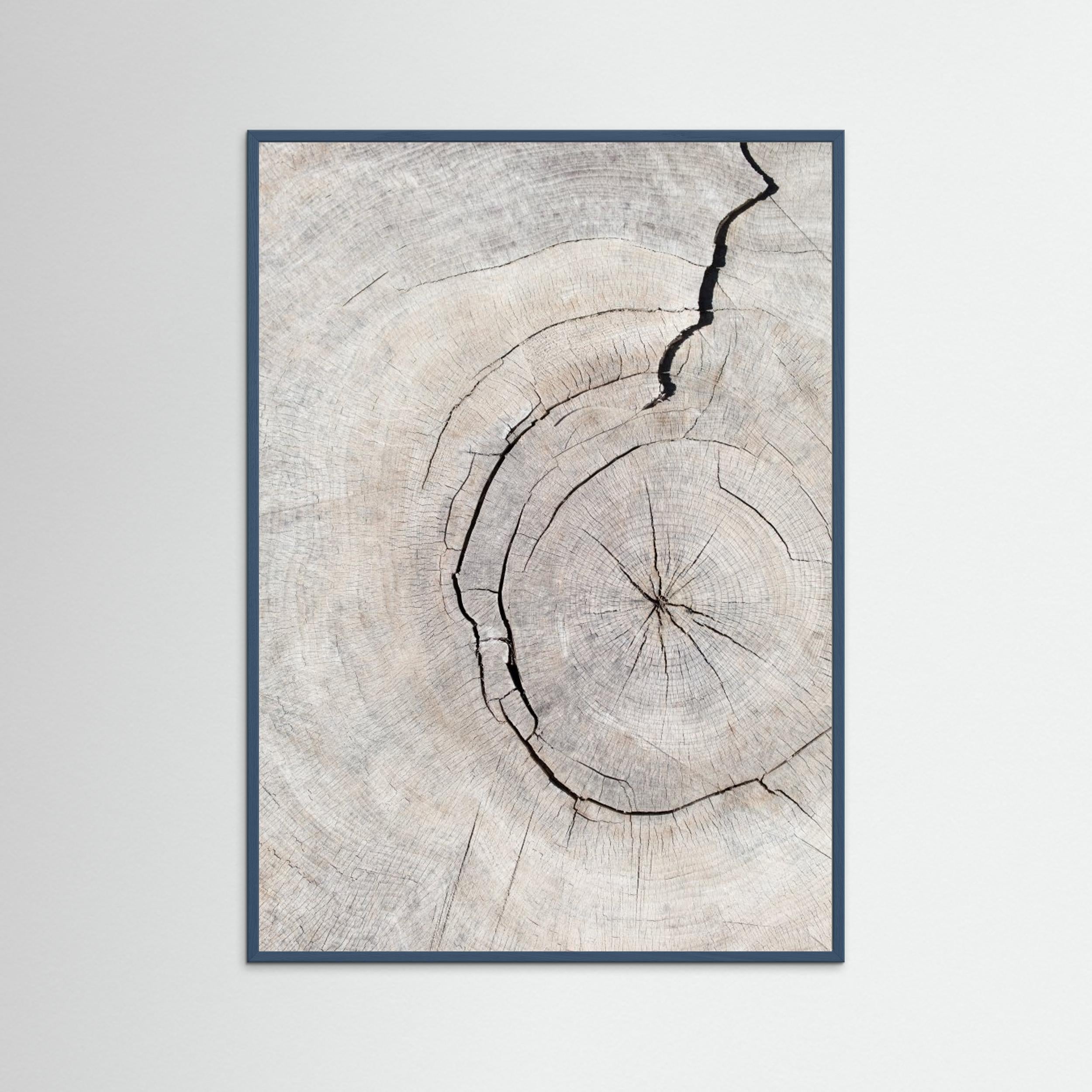 Wood Ring Print by Pictufy Studio III | Scandi Wall Art - Framed Pop Art