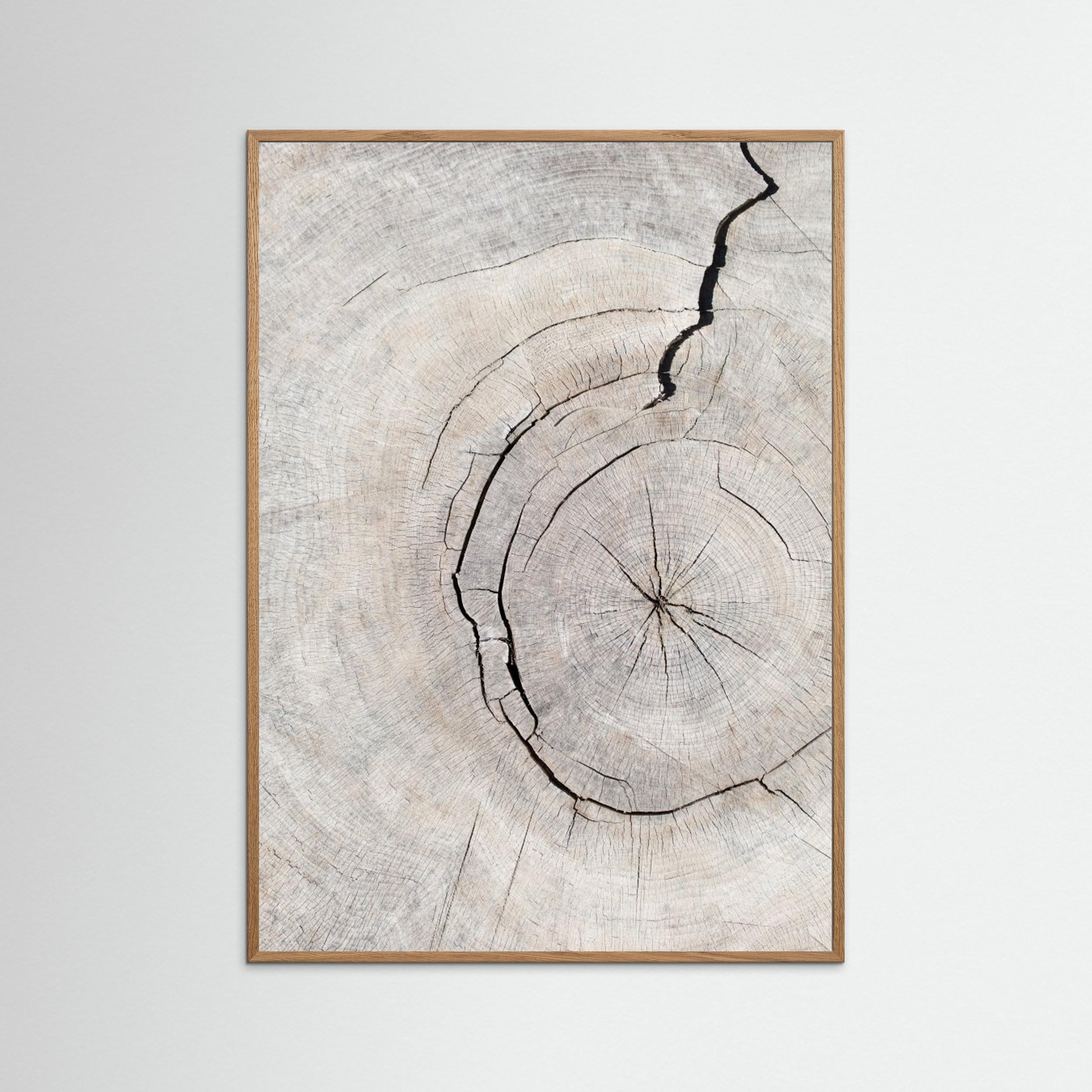 Wood Ring Print by Pictufy Studio III | Scandi Wall Art - Framed Pop Art