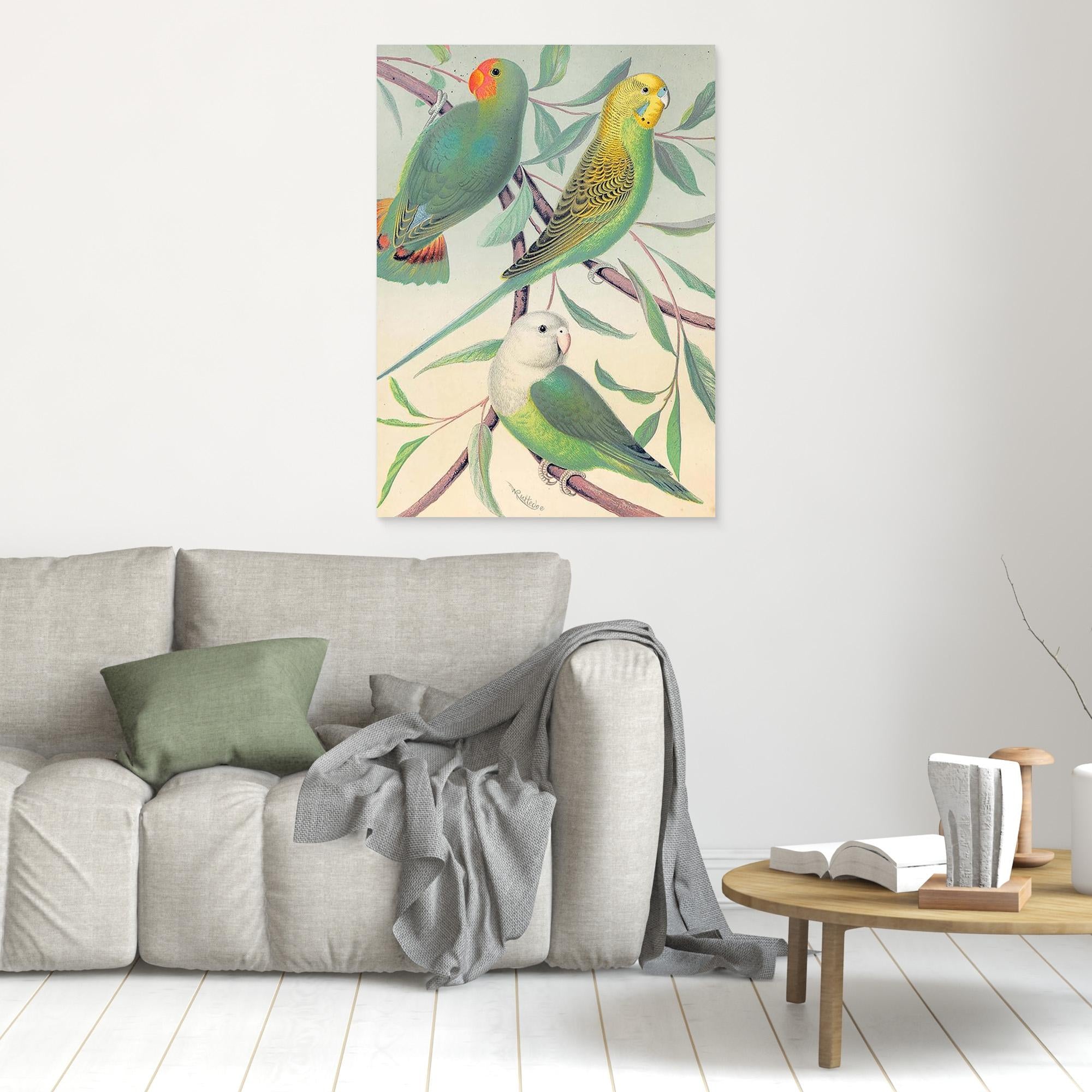 Vintage Budgie Wall Art for Nursery & Bedroom Decor - Framed Pop Art