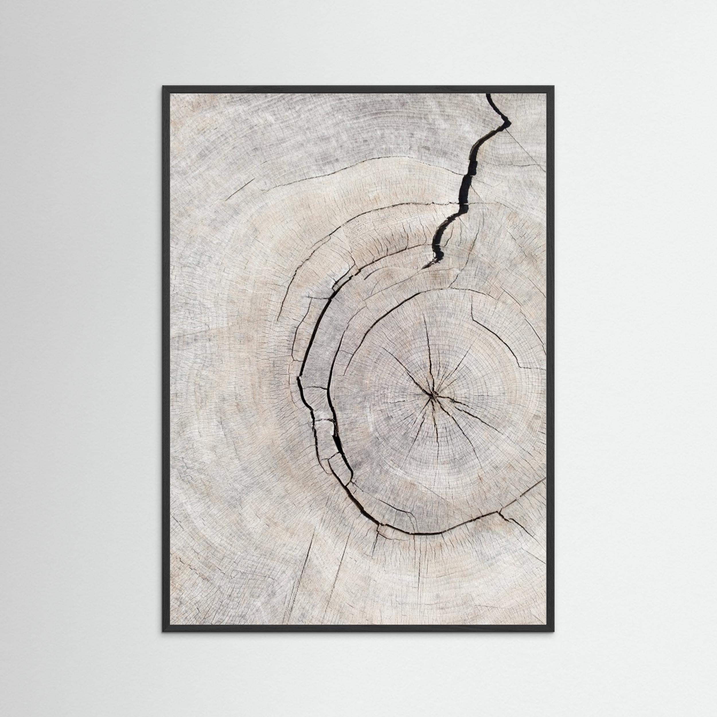 Wood Ring Print by Pictufy Studio III | Scandi Wall Art - Framed Pop Art