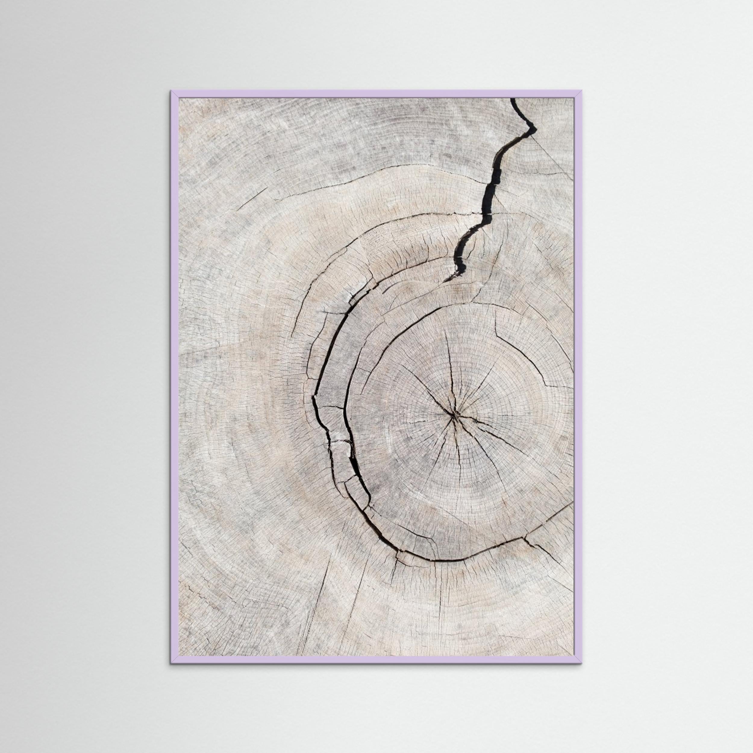Wood Ring Print by Pictufy Studio III | Scandi Wall Art - Framed Pop Art