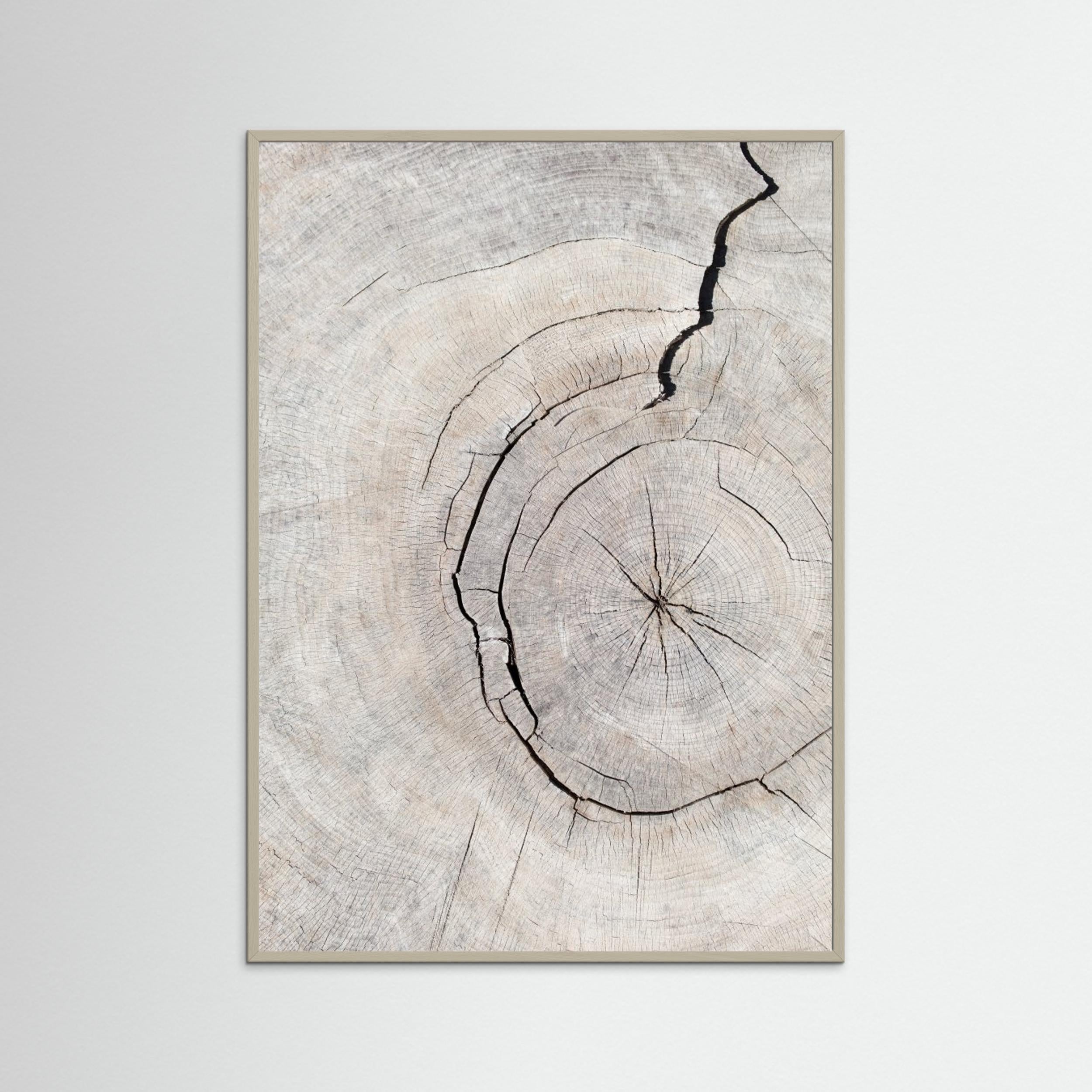 Wood Ring Print by Pictufy Studio III | Scandi Wall Art - Framed Pop Art
