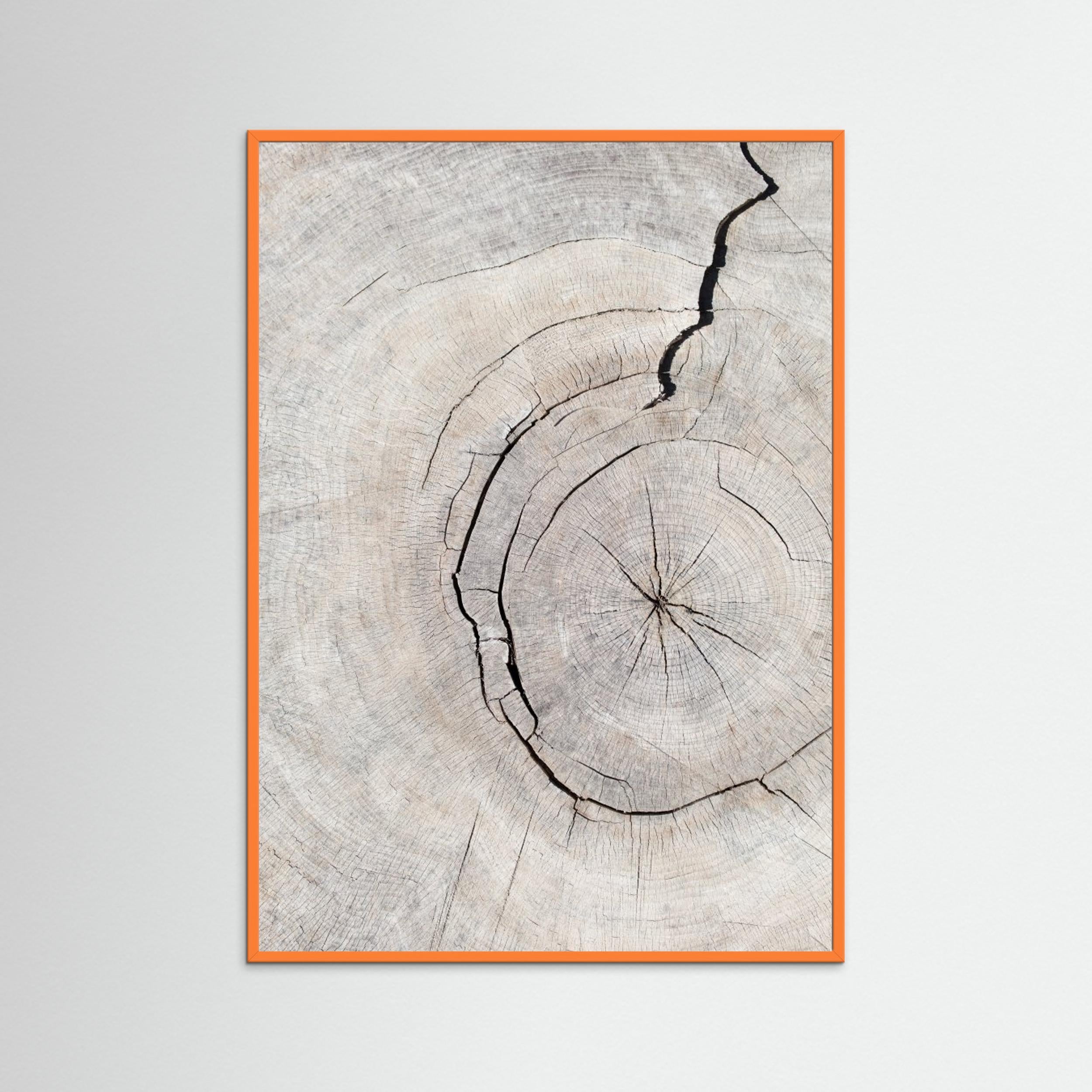 Wood Ring Print by Pictufy Studio III | Scandi Wall Art - Framed Pop Art