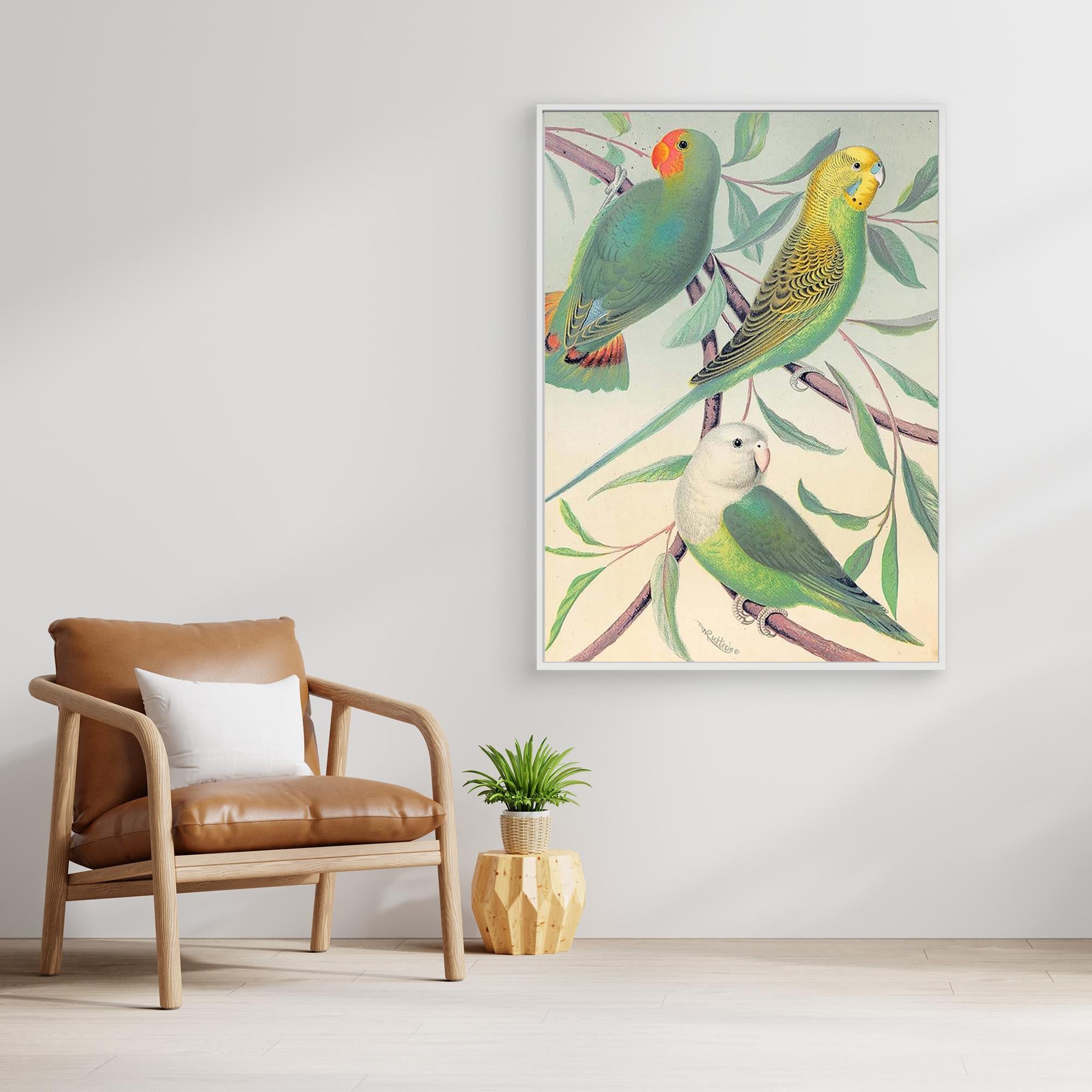 Vintage Budgie Wall Art for Nursery & Bedroom Decor - Framed Pop Art