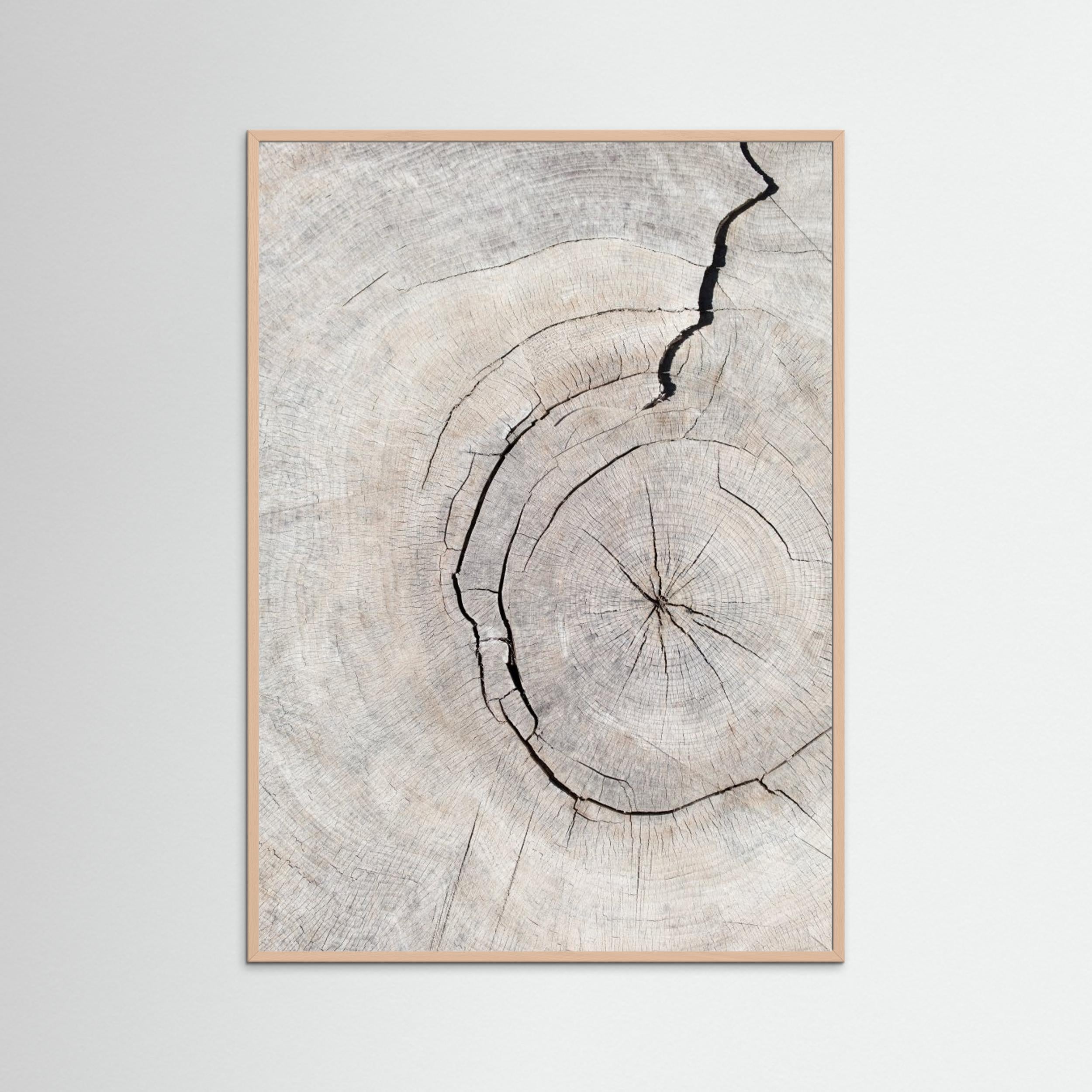 Wood Ring Print by Pictufy Studio III | Scandi Wall Art - Framed Pop Art