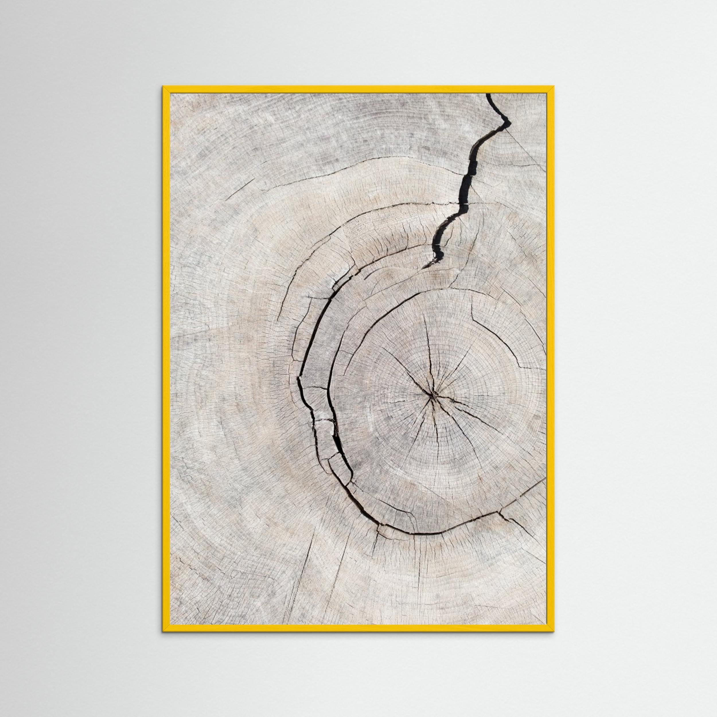 Wood Ring Print by Pictufy Studio III | Scandi Wall Art - Framed Pop Art